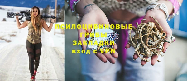винт Алексин